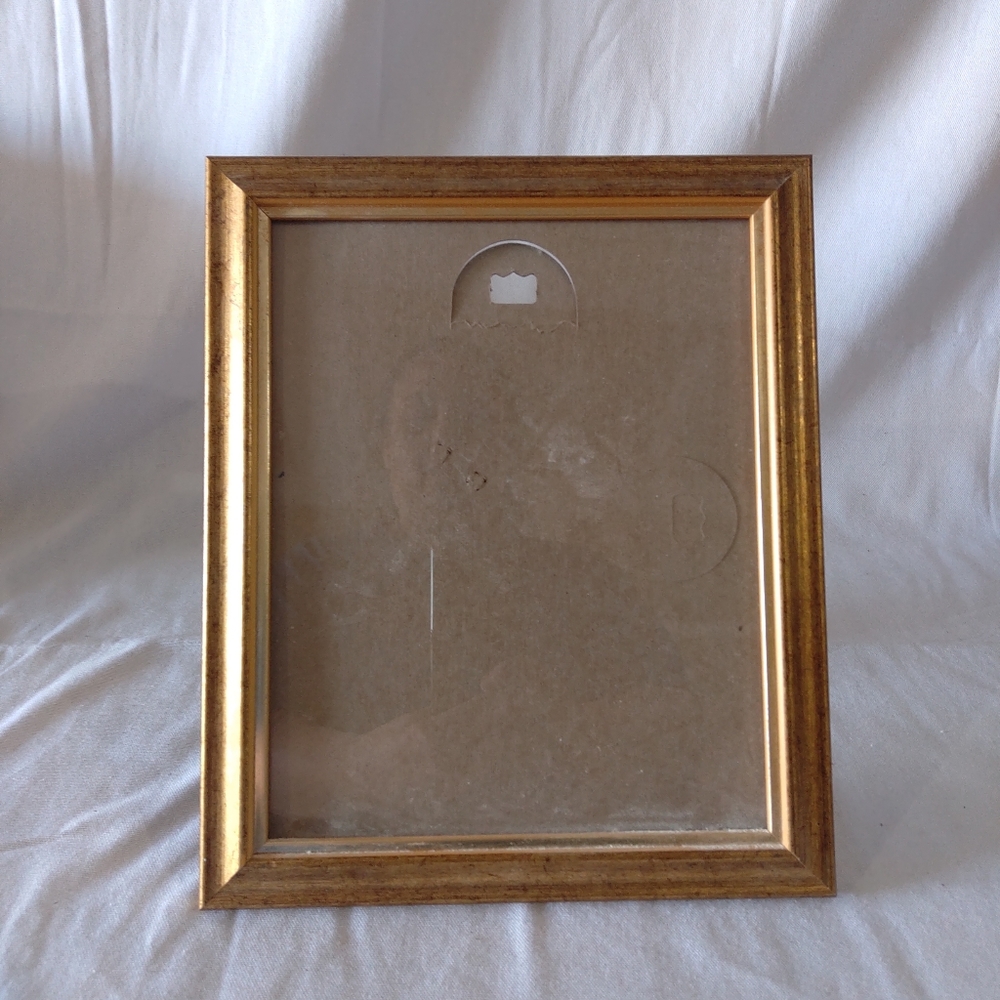 Malden International Design  Brass Color Plastic Photo Frame  8 x 10
